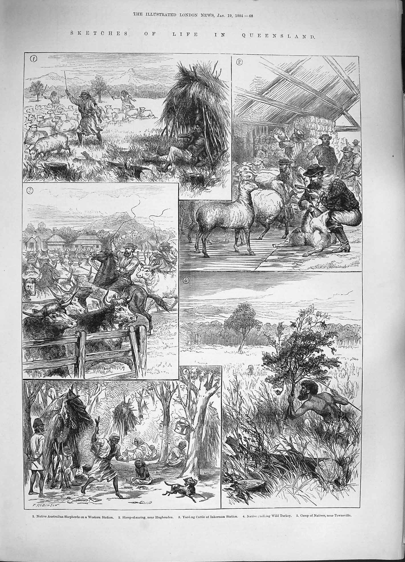 Old Antique Print 1884 Australia Shepherds Cattle Inkerman Mining Hunting 19th
