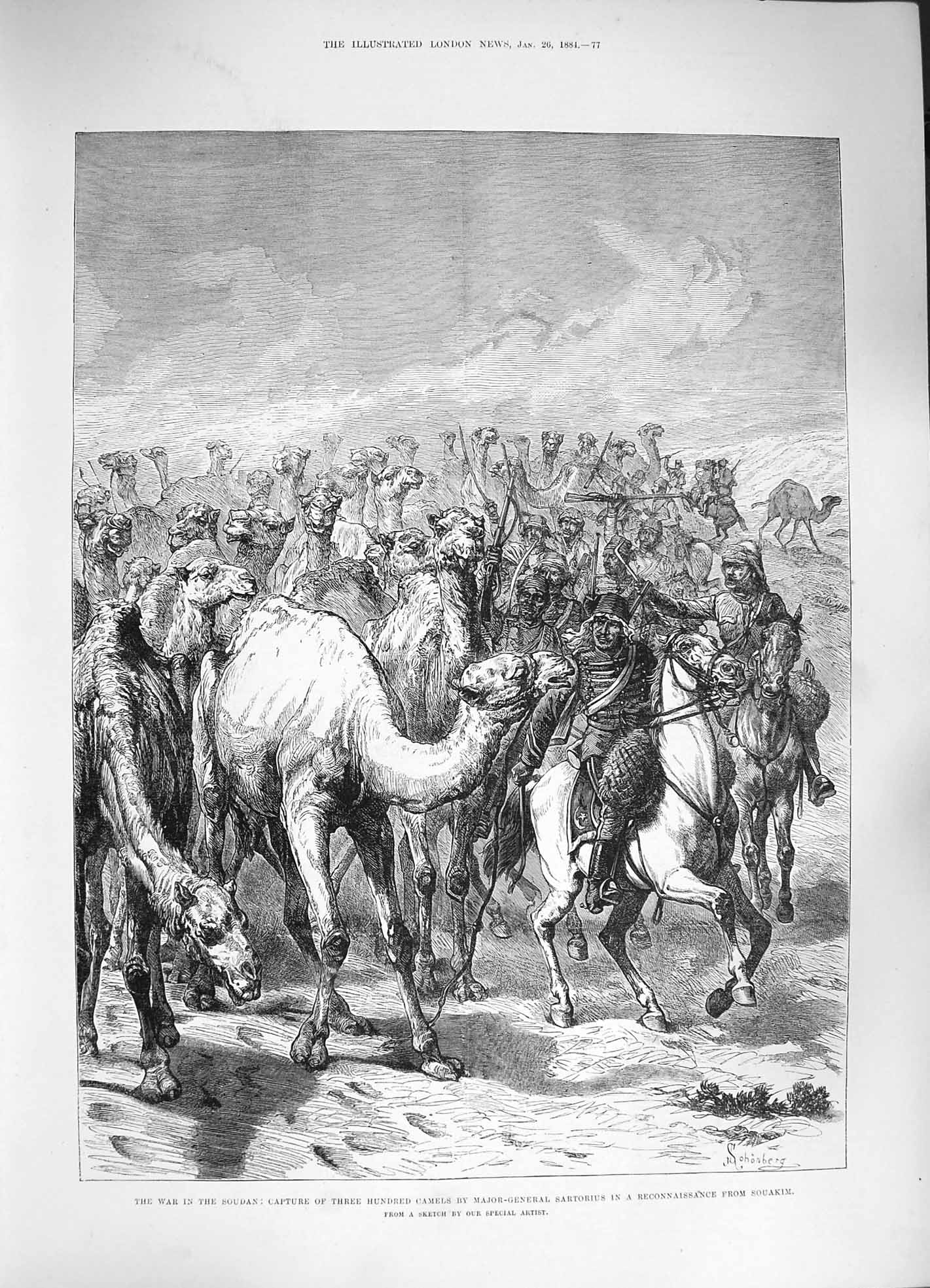 Antique Print *3328 1884 War Soudan Camels Major-General Sartorius Souakim