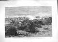 Original Old Antique Print 1884 War Soudan Attack Sereeba Mimosa Bushes Souakim