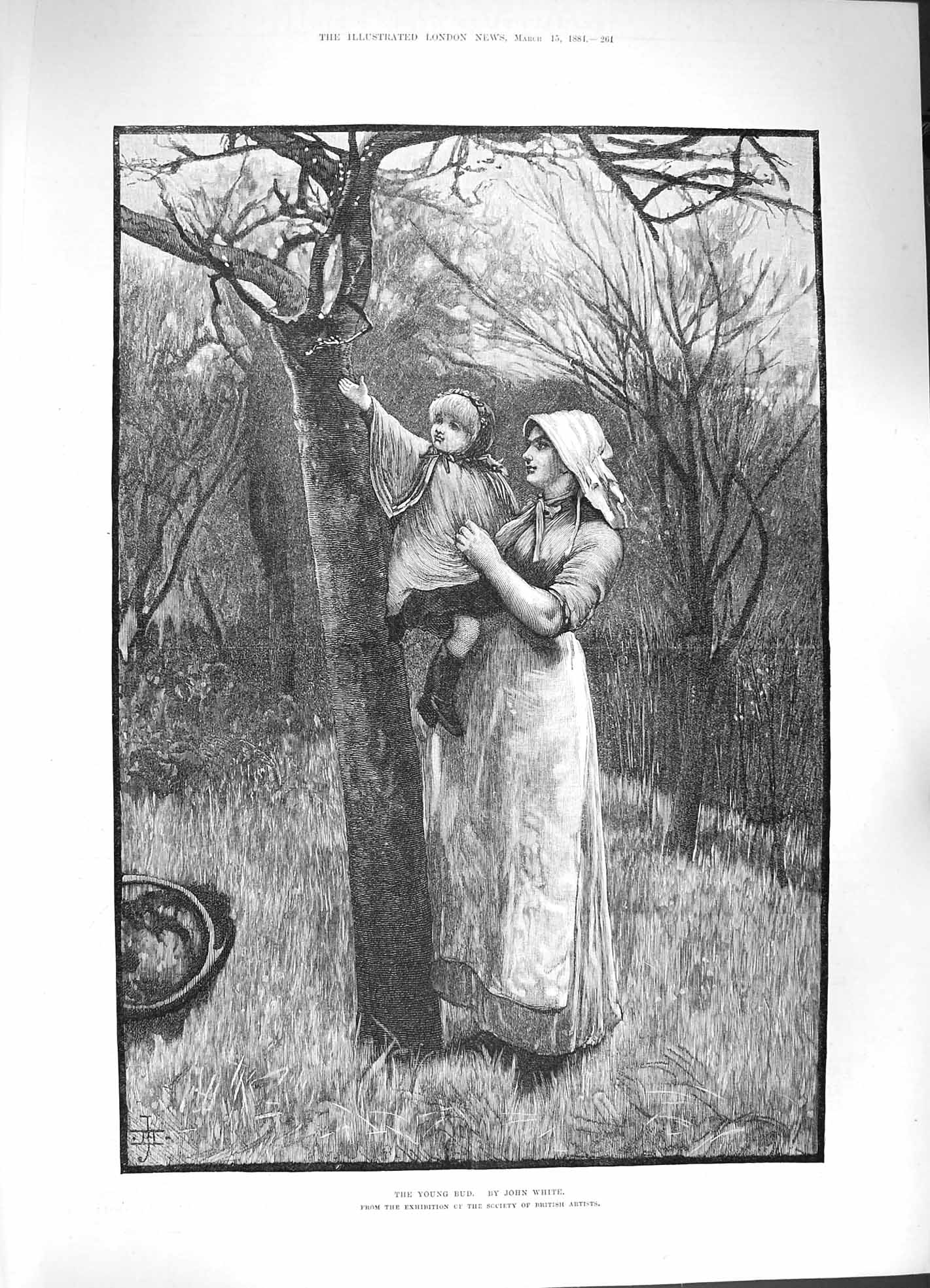 Original Old Antique Print 1884 Young Bud John White Mother Little Girl Tree