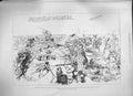 Old Antique Print 1884 War Soudan Battle El Teb Royal Highlanders Gatling 19th