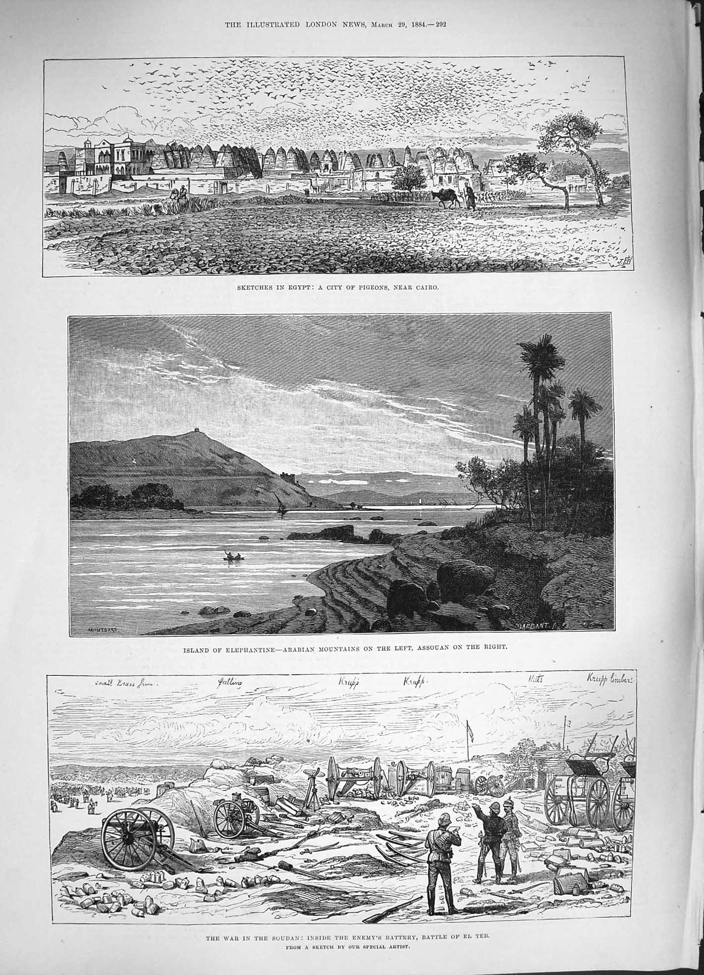 Old Antique Print 1884 Egypt Pigeons Cairo Elephantine Assouan War El Teb 19th