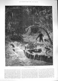Old Antique Print 1884 Catching Alligators Florida America Hunting Boat 19th