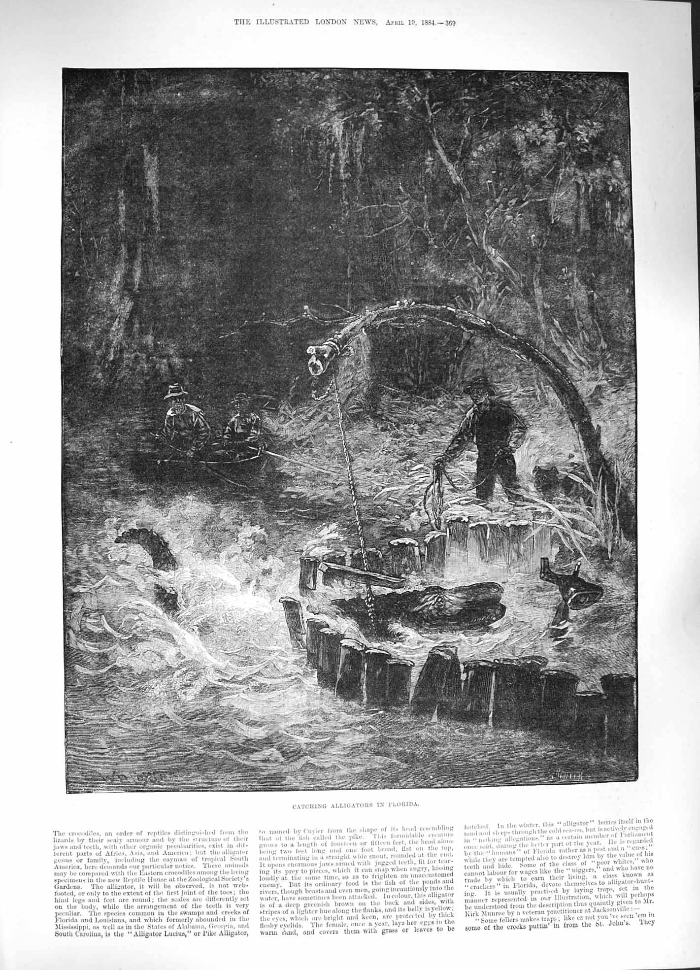 Old Antique Print 1884 Catching Alligators Florida America Hunting Boat 19th