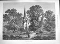 Original Old Antique Print 1884 Country Church Graveyard Trees Fine Art 19th