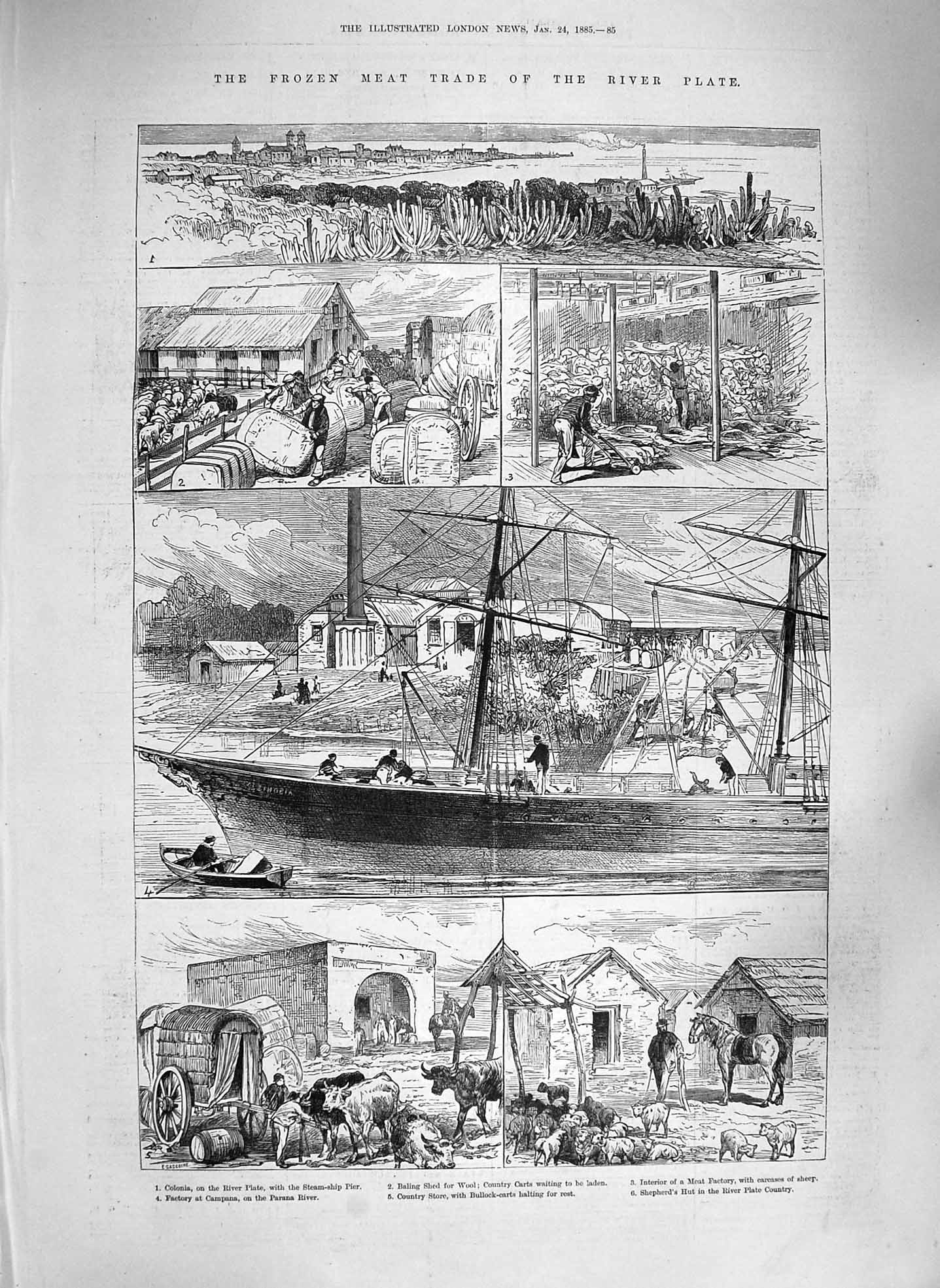 Original Old Antique Print 1885 Frozen Meat Trade River Plate Colonia Factory