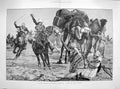 Antique Old Print 1885 Nile Expedition Advance Khartoum Camels Horses War 19th