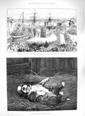 Old Antique Print 1885 War Soudan Australian Ship St. Bernard Puppy Dog 19th