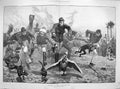 Old Antique Print 1885 Amusements Camp Menagerie Race Animals Birds Dog 19th