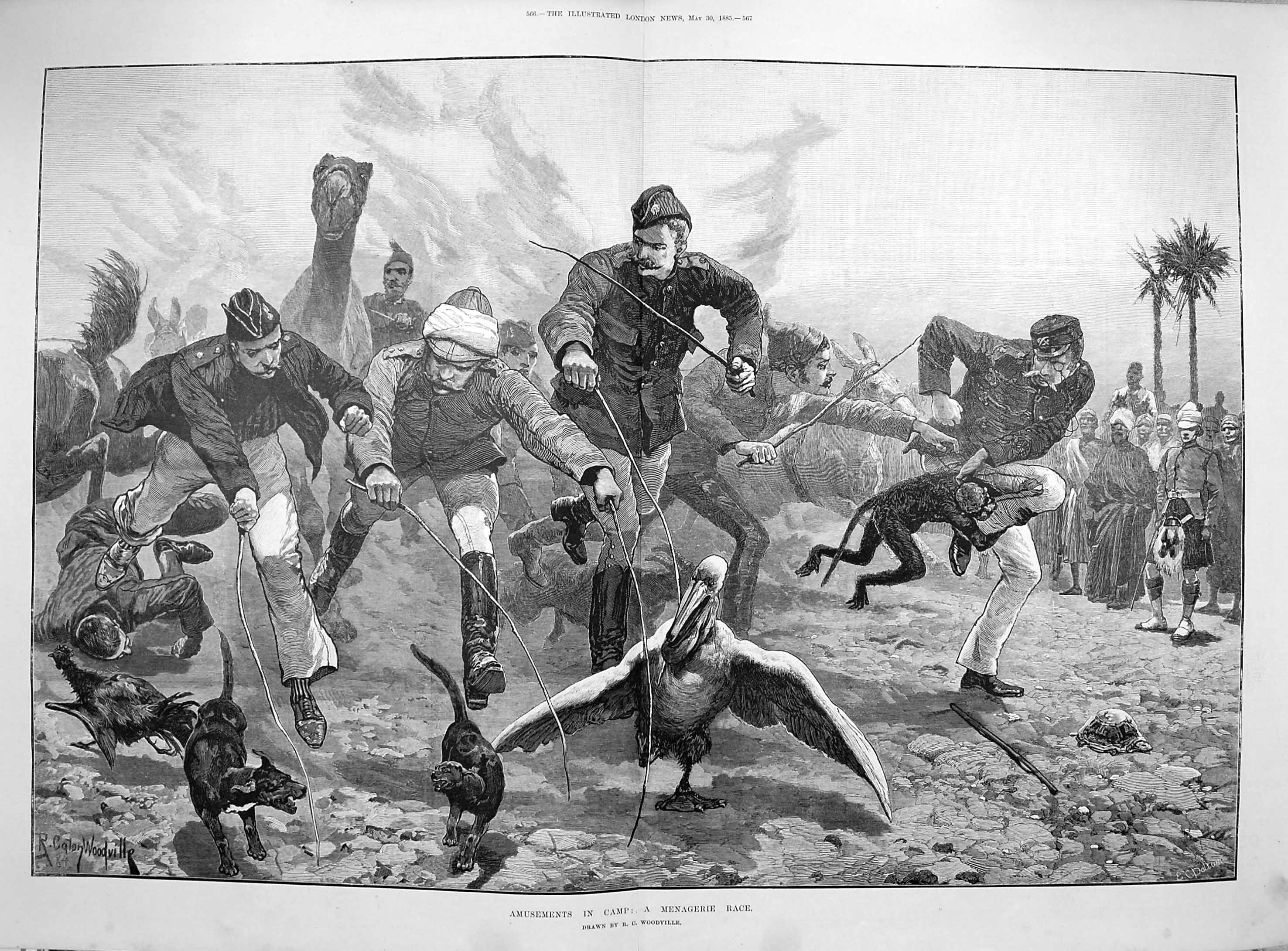 Old Antique Print 1885 Amusements Camp Menagerie Race Animals Birds Dog 19th