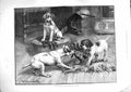 Original Old Antique Print 1885 Dadd Fine Art Bout Gloves Dogs Tug-Of-War Fight