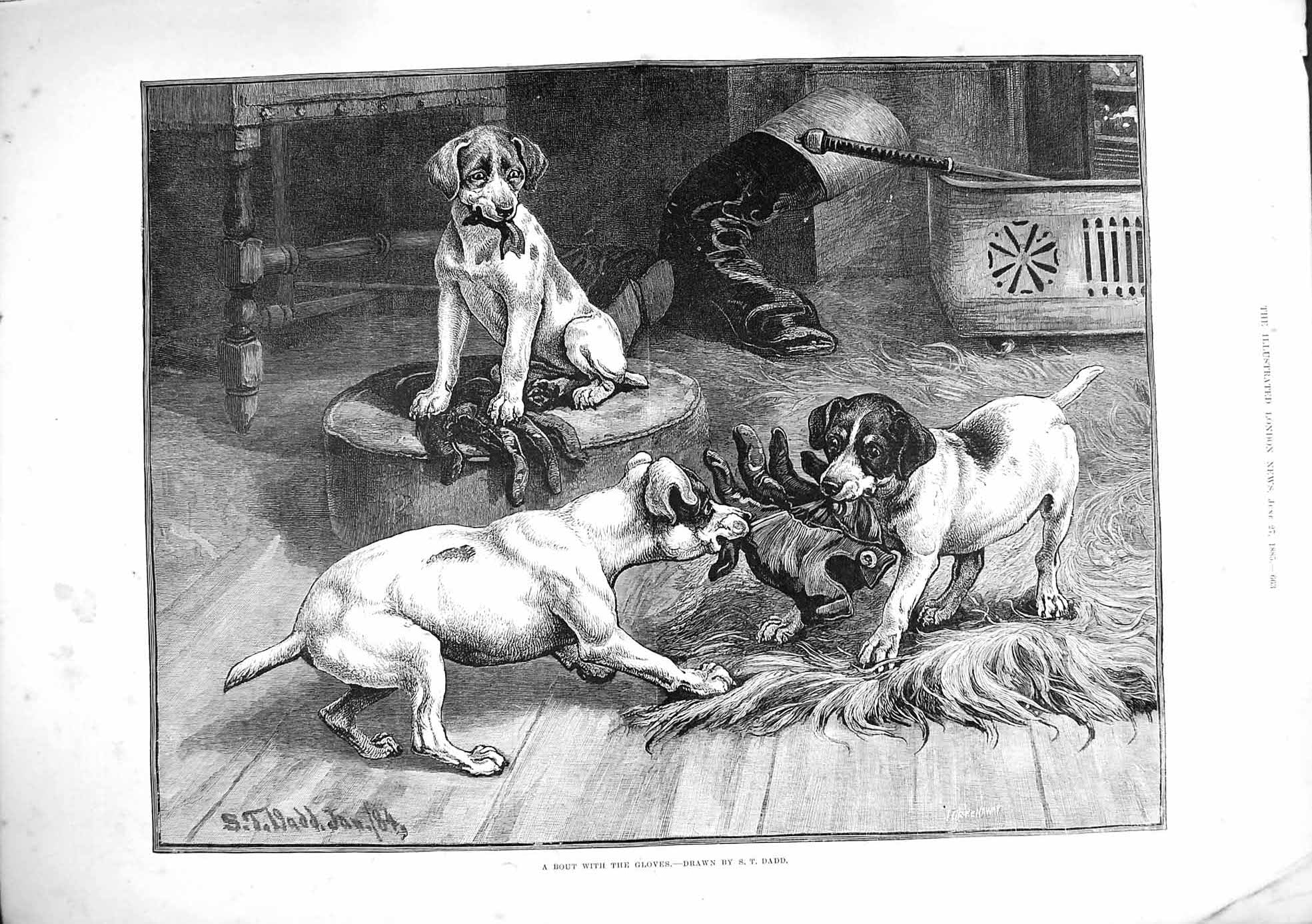 Original Old Antique Print 1885 Dadd Fine Art Bout Gloves Dogs Tug-Of-War Fight