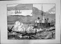Old 1885 Evolutionary Squadron Attack Berehaven Ships Polyphemus Boom Victorian