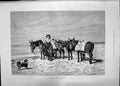 Original Old Antique Print 1885 Donkey Rides Beach Waiting Customers Amusements