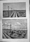 Old 1885 Cattle Arkansas River Railway Track Plains Colorado America Victorian