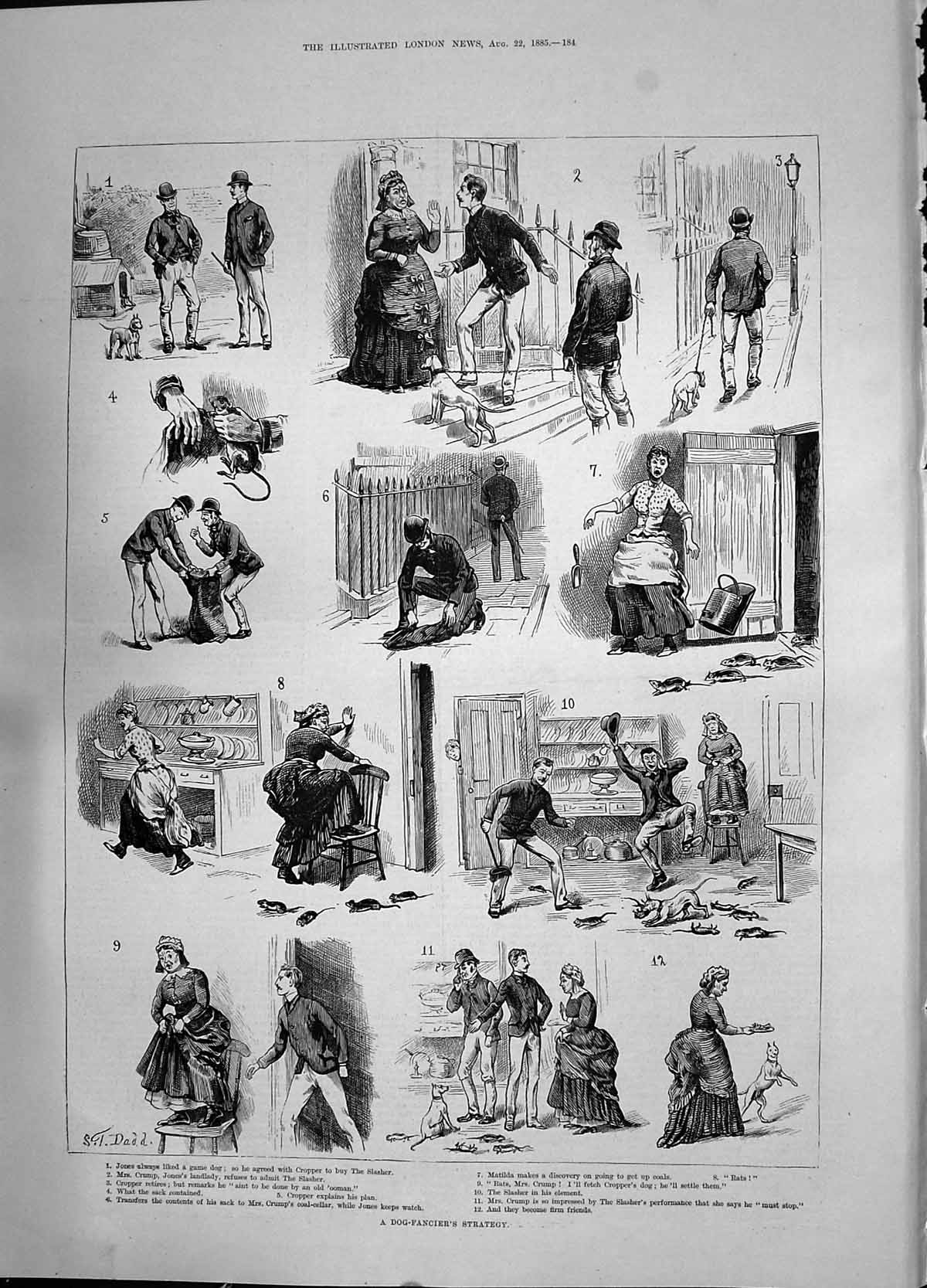 Antique Print 1885 Dog Fancier'S Strategy Crump Matilda Cropper Jones Dadd 19th