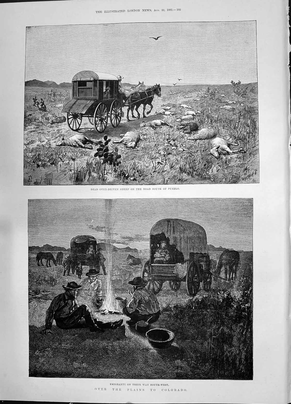 Antique Old Print 1885 Plains Colorado Dead Sheep Pueblo Emigrants Transport
