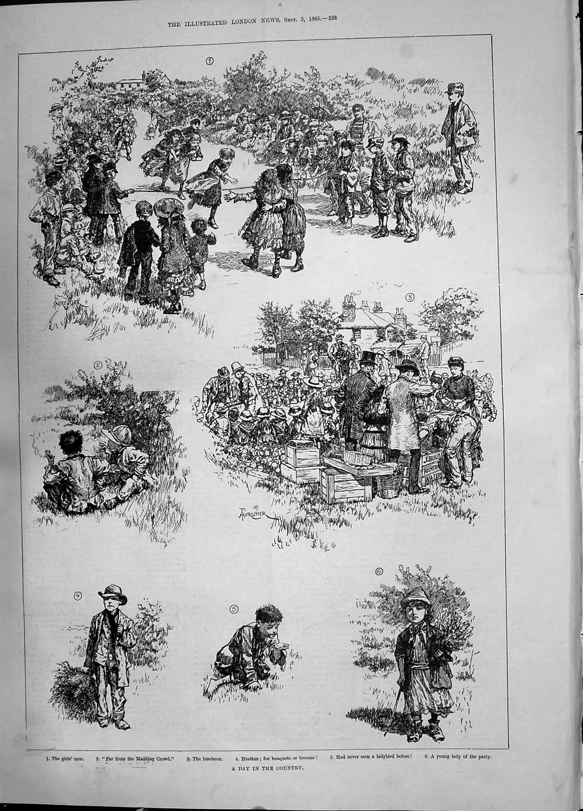 Old Antique Print 1885 Day Country Heather Luncheon Girls Race Ladybird 19th