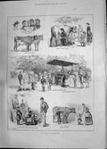 Antique Old Print 1885 Milk Fair St. James'S Park Cattle Cows Brindle Polly
