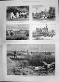 Old Cholera Spain Castle Drottingholm 1885 Prince Wales Swan Shooting Victorian