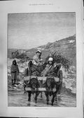 Antique Print 1885 Scene Plains Roumelia Family Bullock Cart Crossing River