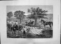 Antique Print 1885 Lime Cutting India Horses Sport War Siers Indian People 19th