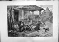 Old 1885 Shoeing Oxen Horses Servian Smithy Animals Industry Schomber Victorian