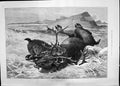 Antique Print 1885 Norwegian Lynx Killing Reindeer Animals Ludwig Beckmann 19th