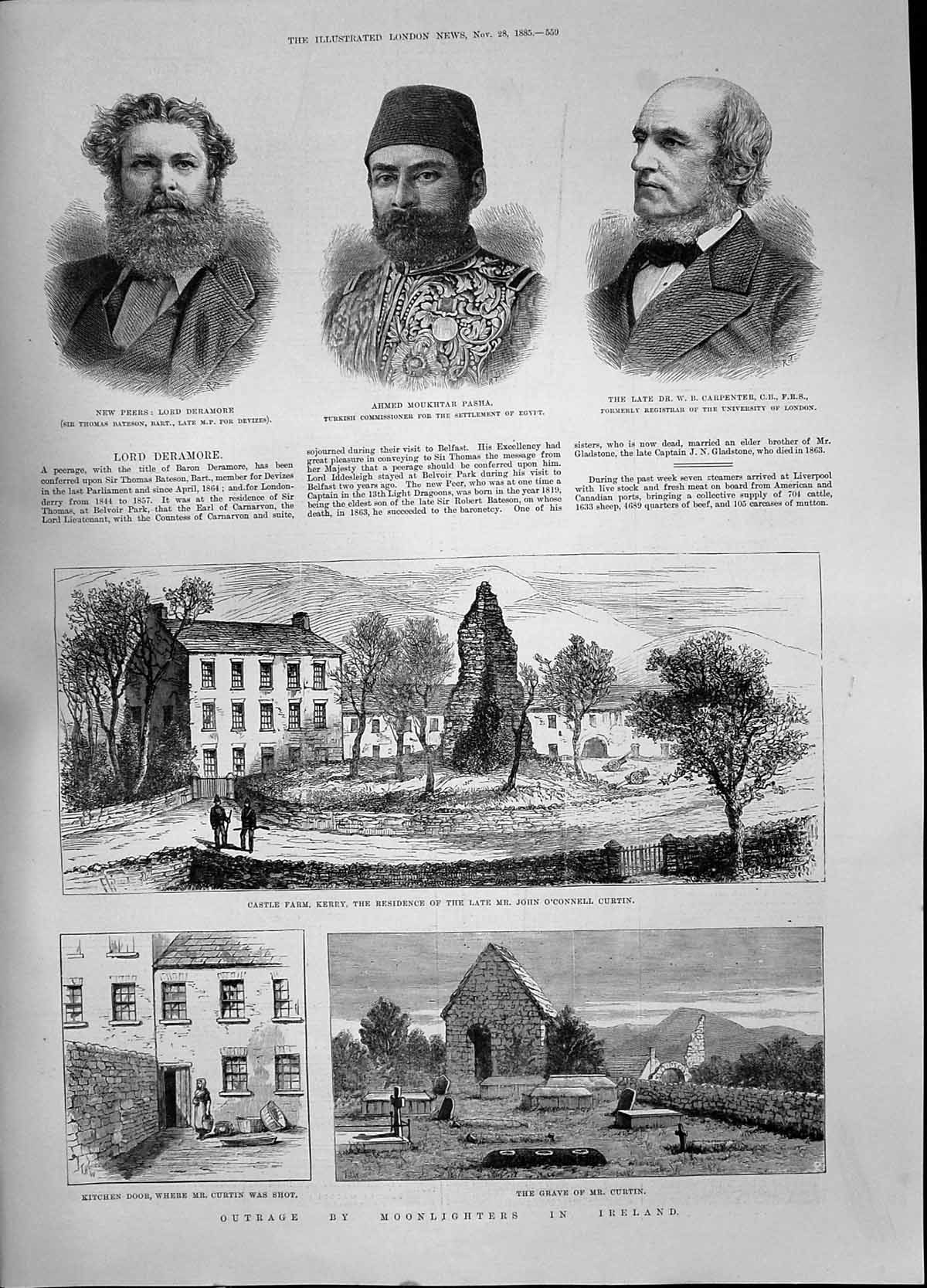 Old Moonlighters Ireland Curtin Castle Farm Kerry O'Connell 1885 Dera Victorian