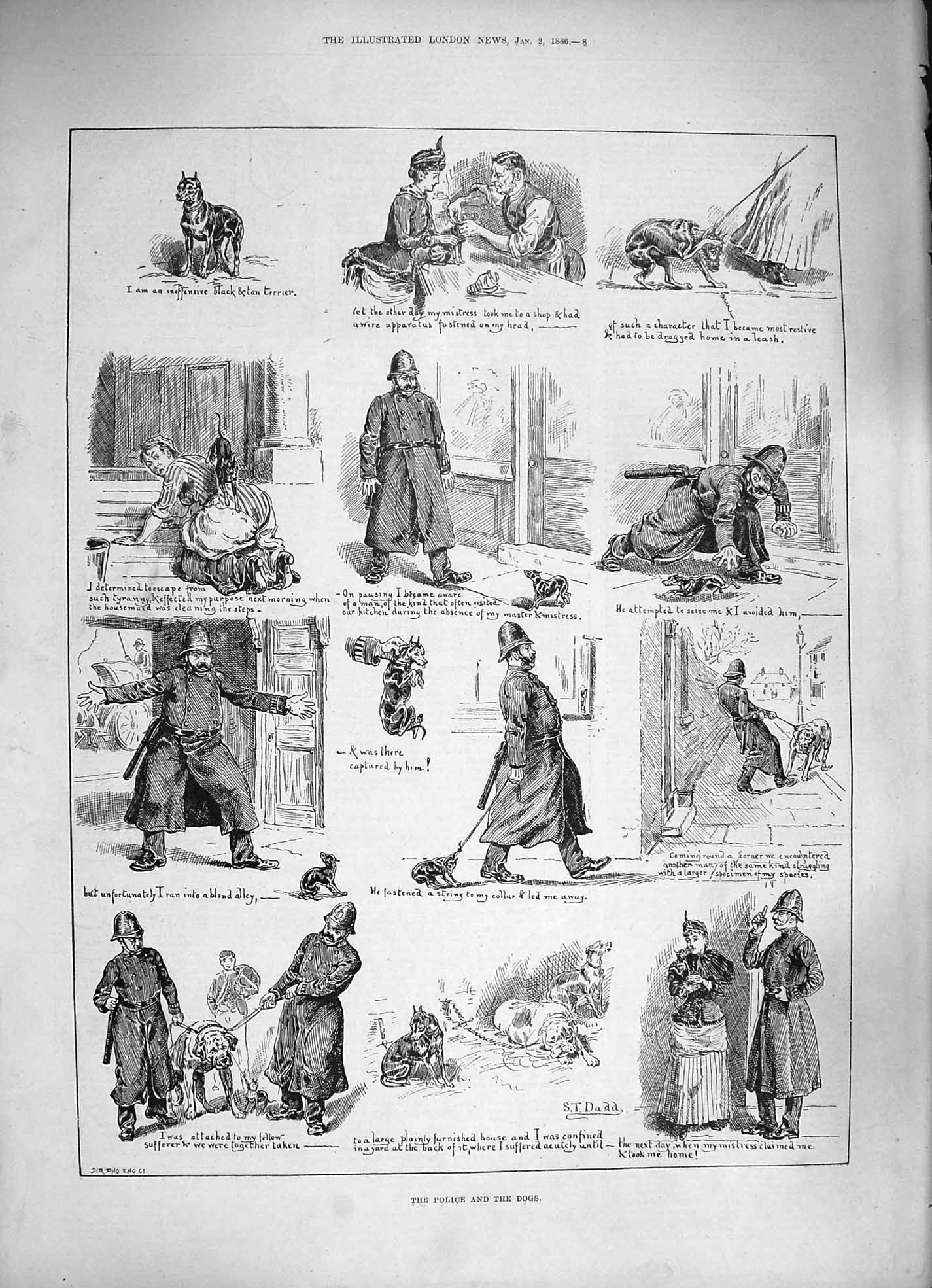 Original Old Antique Print 1886 Police Stray Dogs Black Tan Terrier Stree 19th