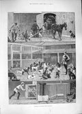 Old Antique Print 1886 Dogs Home Battersea Lethal Chamber London Fine Art 19th