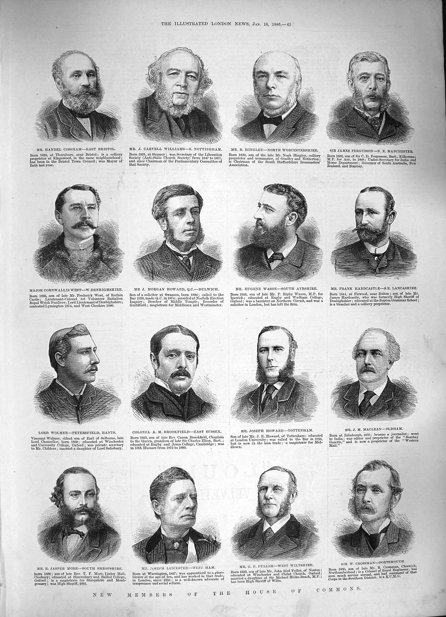 Old Antique Print 1886 House Commons Williams Howard Fuller Wason Wolmer 19th