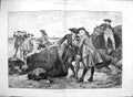 Old Antique Print 1886 Conchologists Men Telescope Seaside Beach Scene 19th