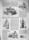 Original Old Antique Print 1886 Dogs Terrier Show Aquarium Lady Fancier London