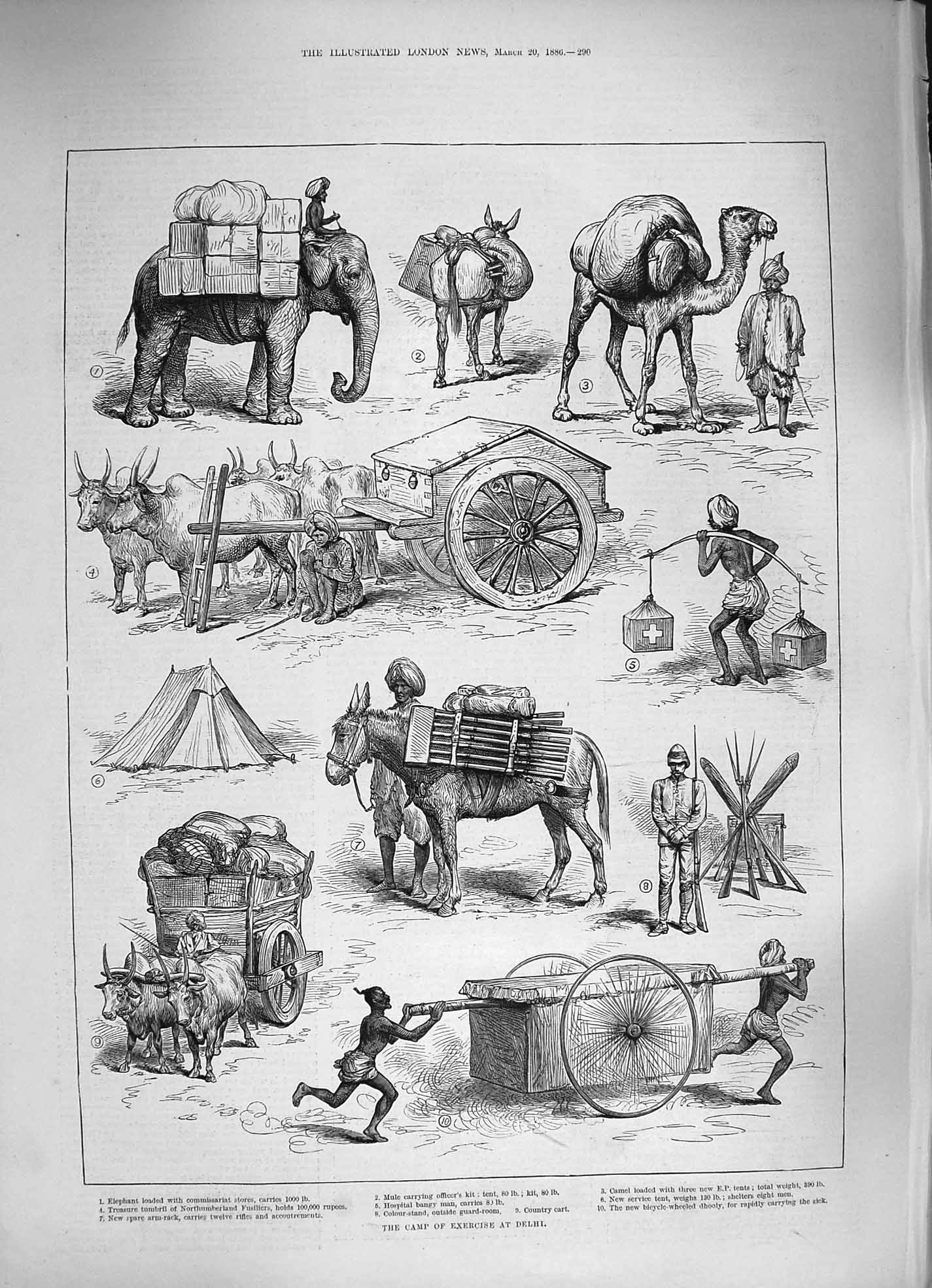 Old Antique Print 1886 Camp Exercise Delhi India Elephant Camel Bangy Man 19th