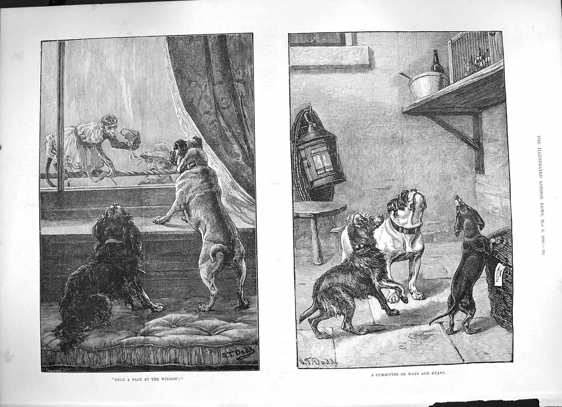 Old Antique Print 1886 Dadd Fine Art Puppy Pet Dogs Monkey Window Animals 19th