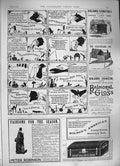 Original Old Antique Print 1886 Balmoral Gloss Borwick Baking Powder R Victorian