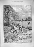 Original Old Antique Print 1886 Agriculture June Mowing Clover Farming Scene