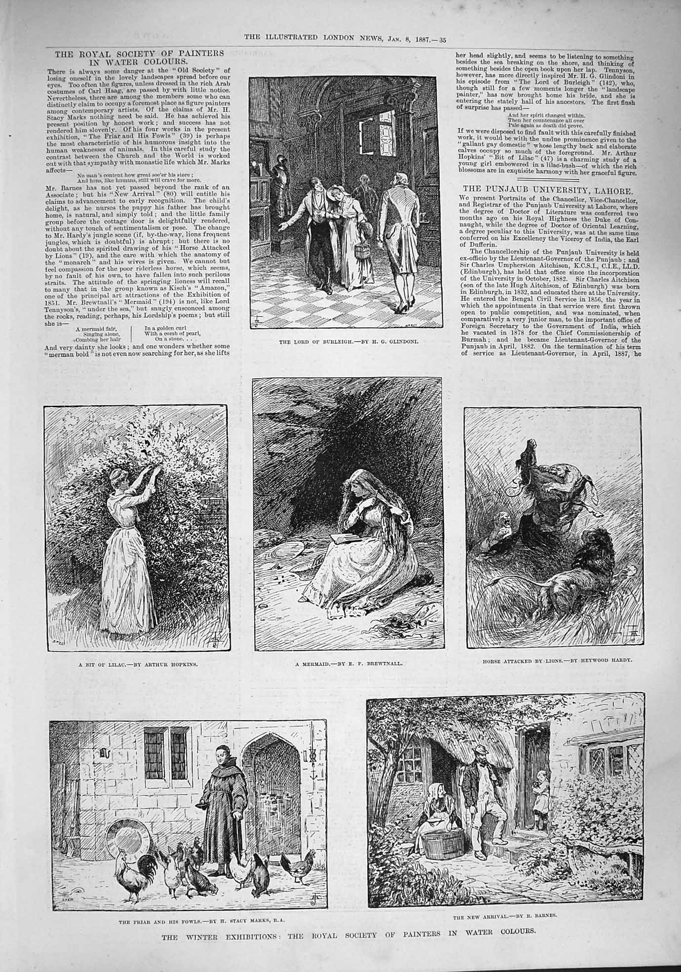 Original Old Antique Print 1887 Art Water Colours Flowers Mermaid Fowls Birds
