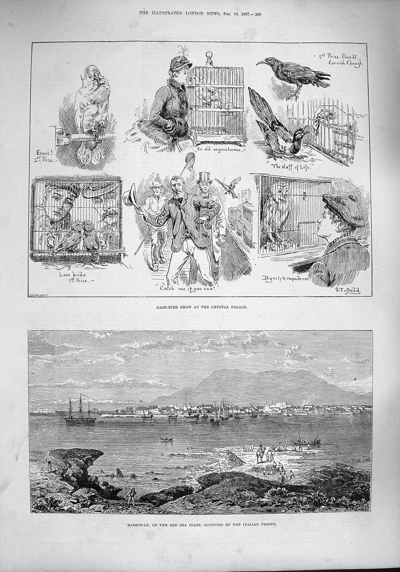 Original Old Antique Print 1887 Massowah Red Sea Cage Bird Show Crystal Palace
