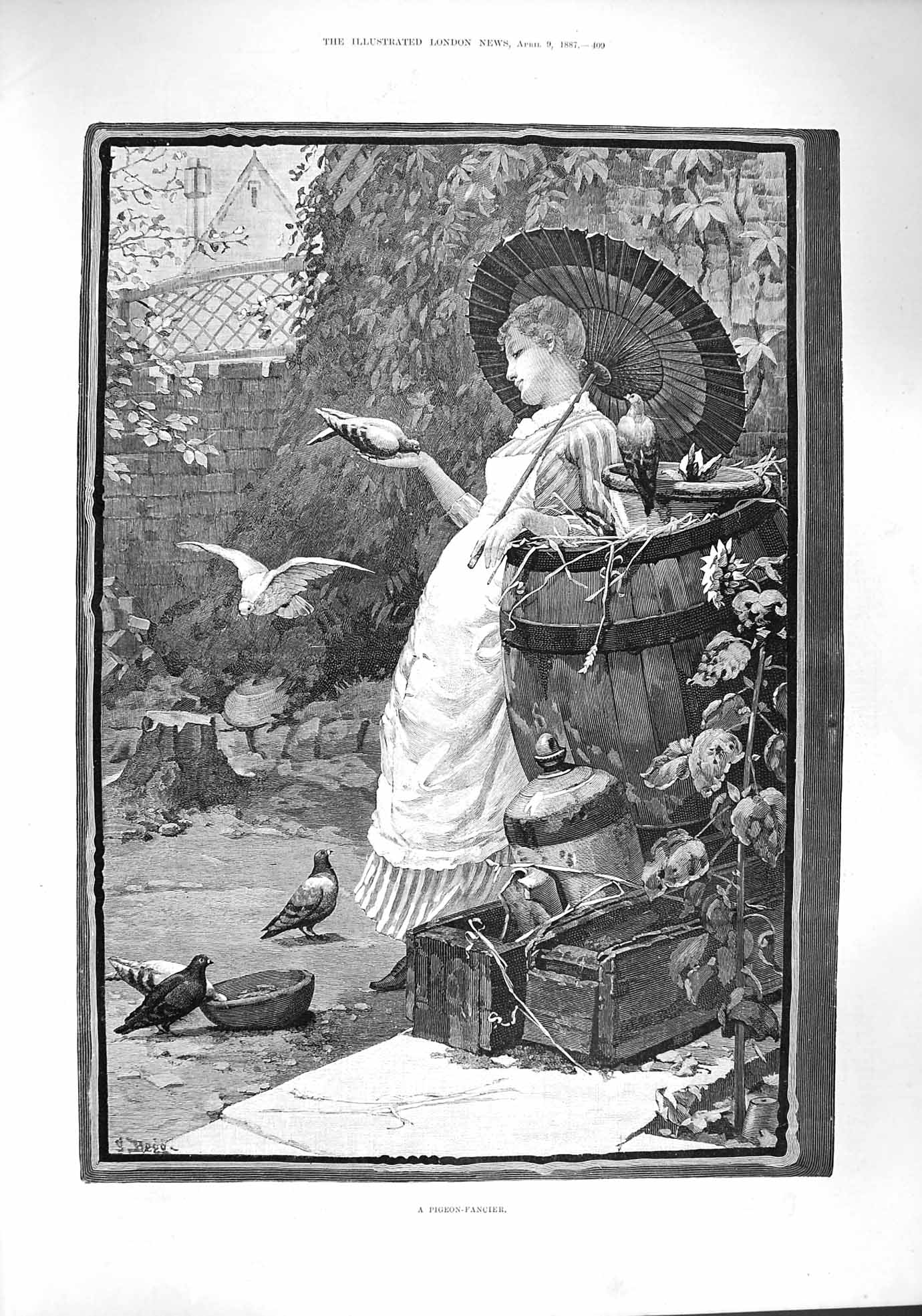 Original Old Antique Print 1887 Pigeon Fancier Lady Woman Birds Fine Art 19th