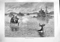 Old Antique Print 1887 Deer Shooting America Hunting Men Boat Lake Sport 19th