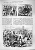 Original Old Antique Print 1887 Prince Wales Dorchester Agricultural Show Sheep