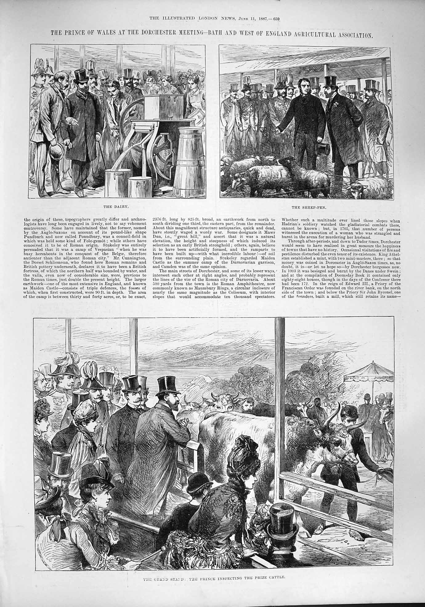 Original Old Antique Print 1887 Prince Wales Dorchester Agricultural Show Sheep