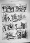 Original Old Antique Print 1887 Volunteers Corps Horse Riding Albany Barracks
