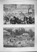Original Old Antique Print 1887 Australia Apiary Military Tournament Siers 19th