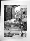 Old Print Cope Whitehouse Major Surtees Fayoum Egypt Papyrus Museum 1887 19th