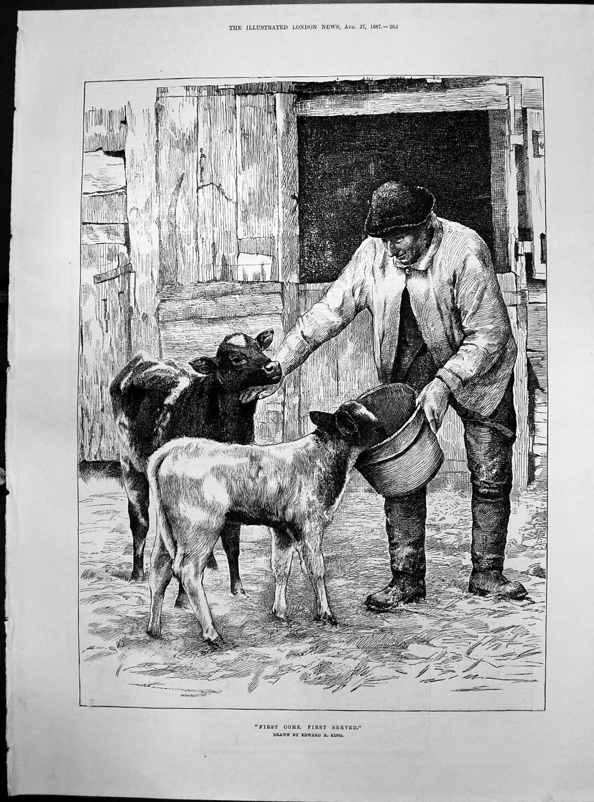 Old First Come First Served Edward King Man Feeding Calves Pail 1887 Victorian