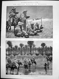 Old British Mission Morocco Lepers Last Camp Before Arriving City 188 Victorian