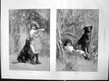 Antique Old Print Give Me Some Girl Plate Dog On Guard Dog Child Asleep 1887
